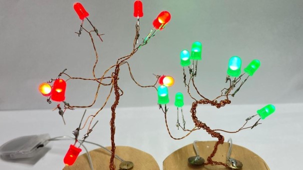 Forscherklasse2024 169